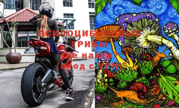 не бодяженный Алзамай