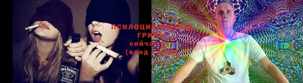 не бодяженный Алзамай
